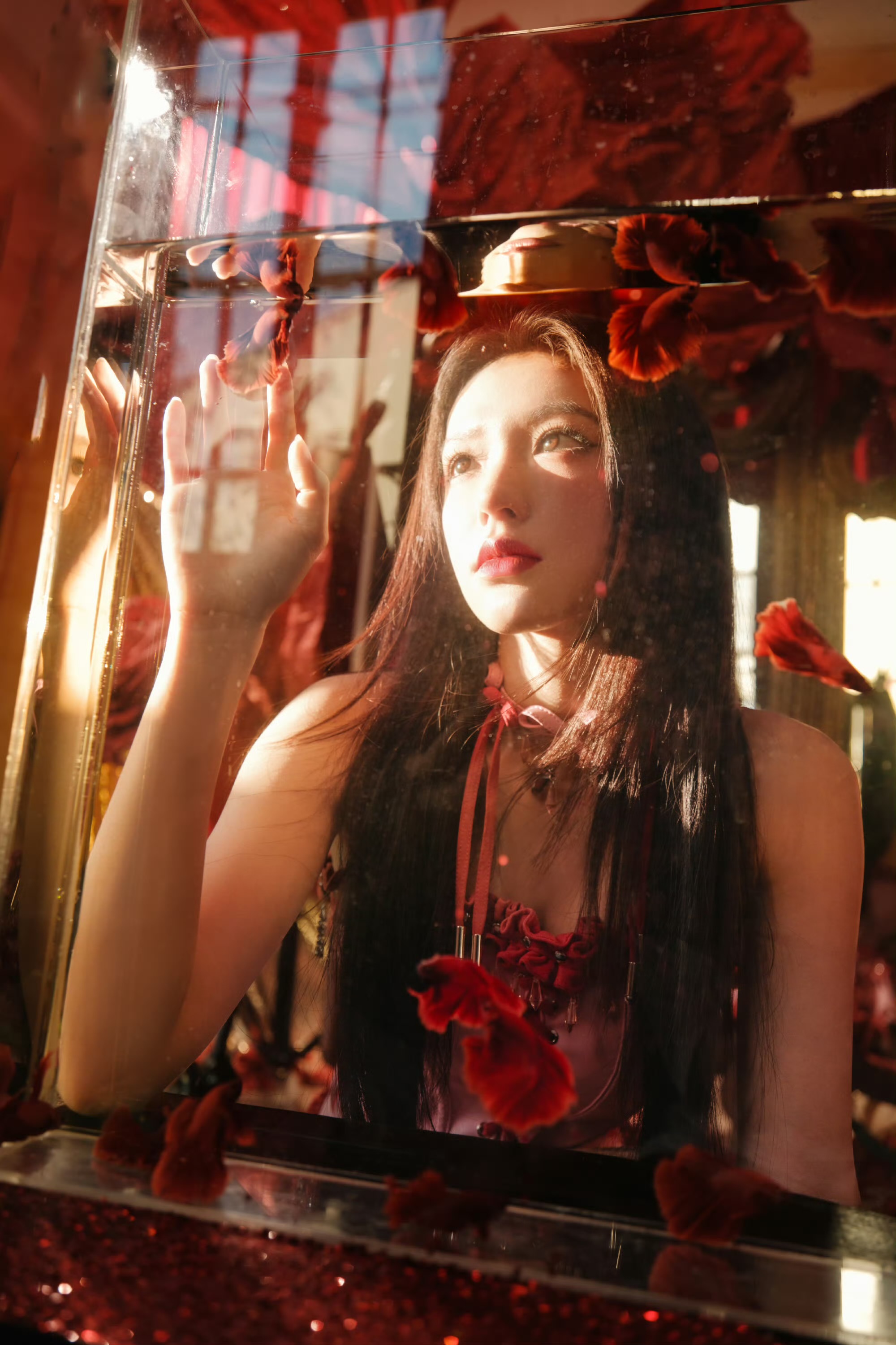 程潇出道十周年唯美写真图片