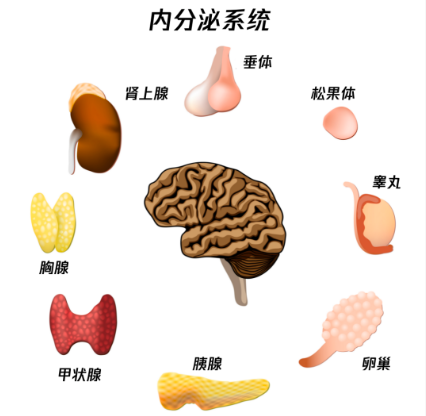 女生内分泌失调的6种表现，你中了几个