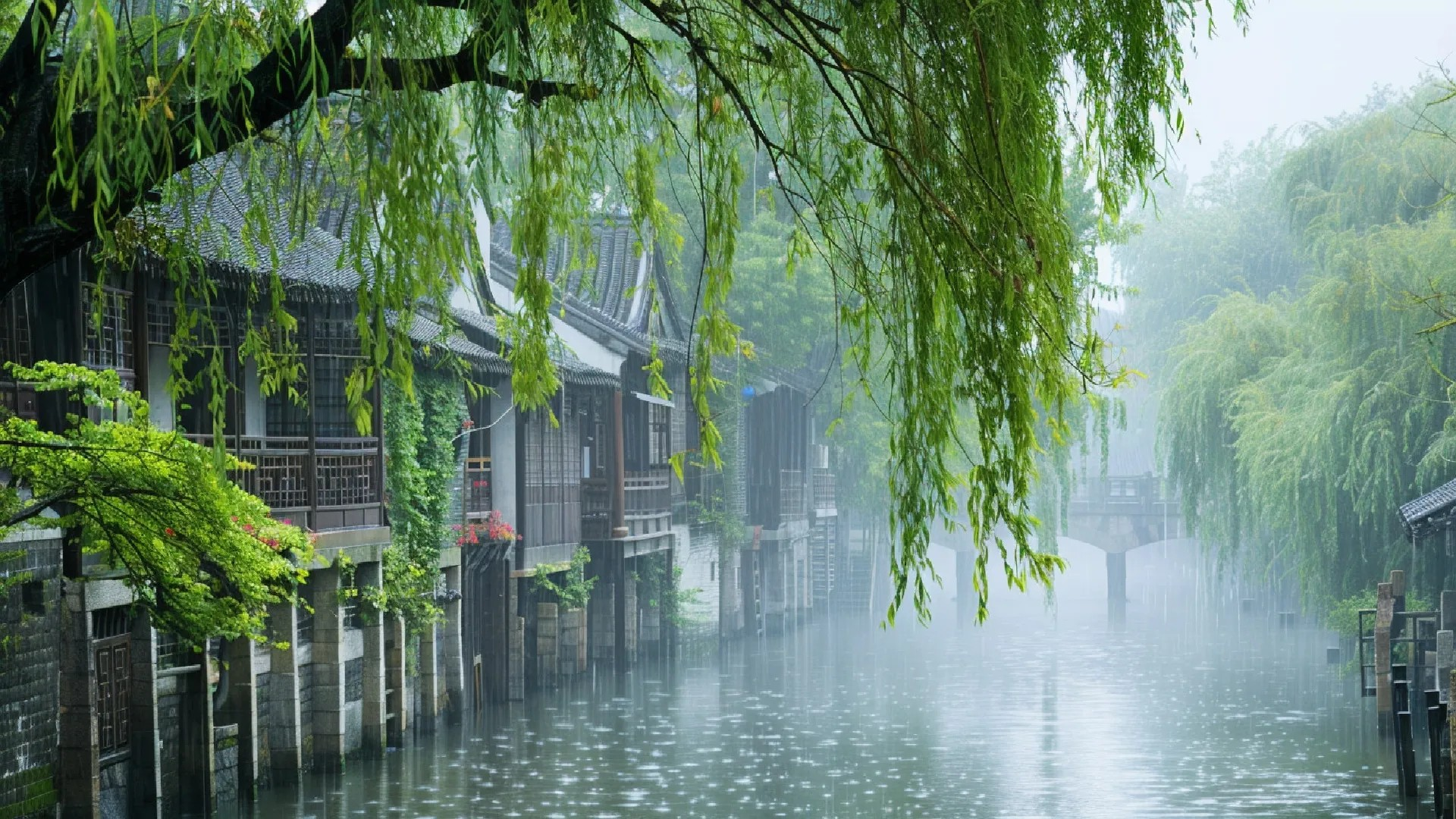 2k江南水乡壁纸｜烟雨垂柳背景图片 – 自然-达人圈壁纸