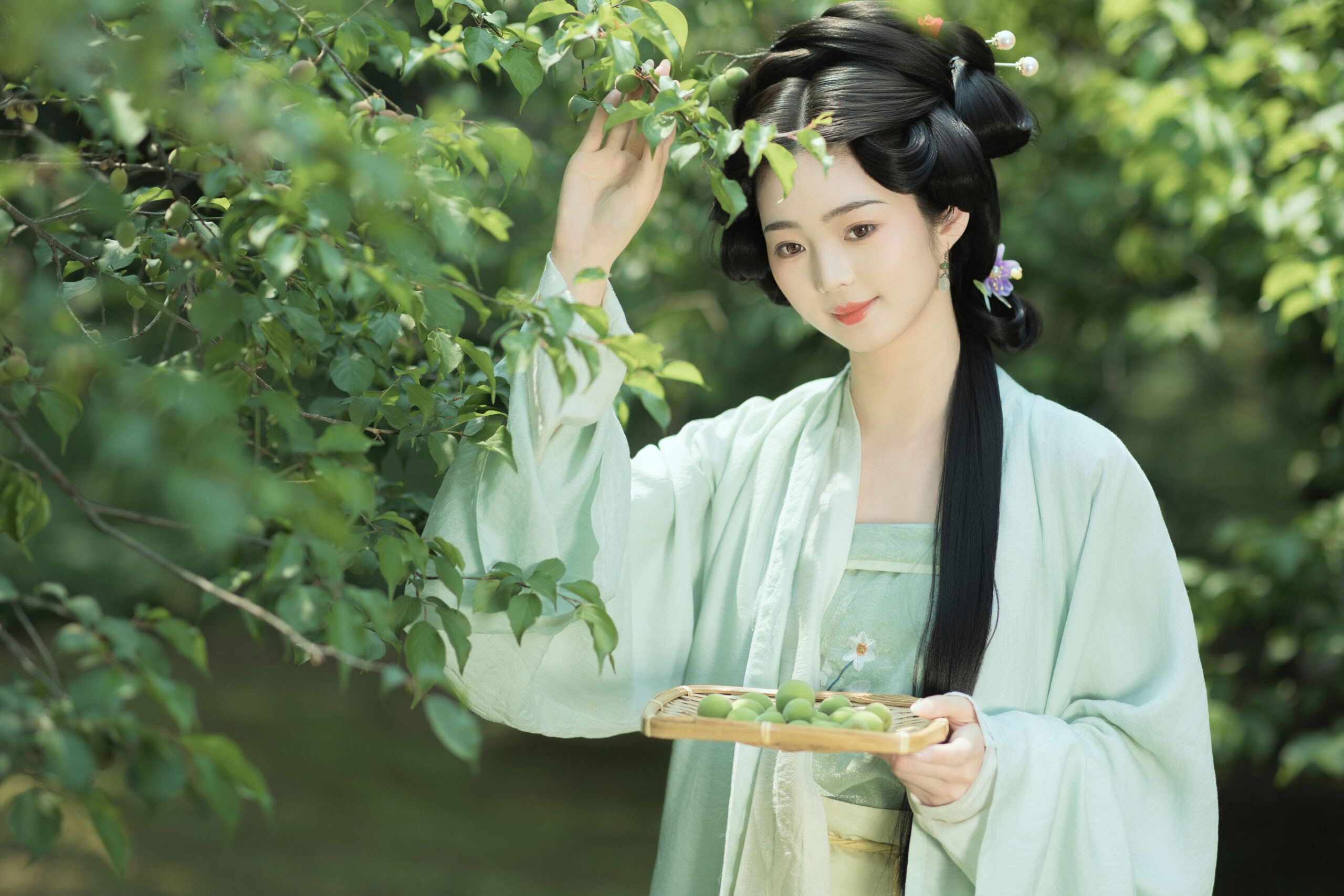 图片[4]-青梅酒-达人圈茶社