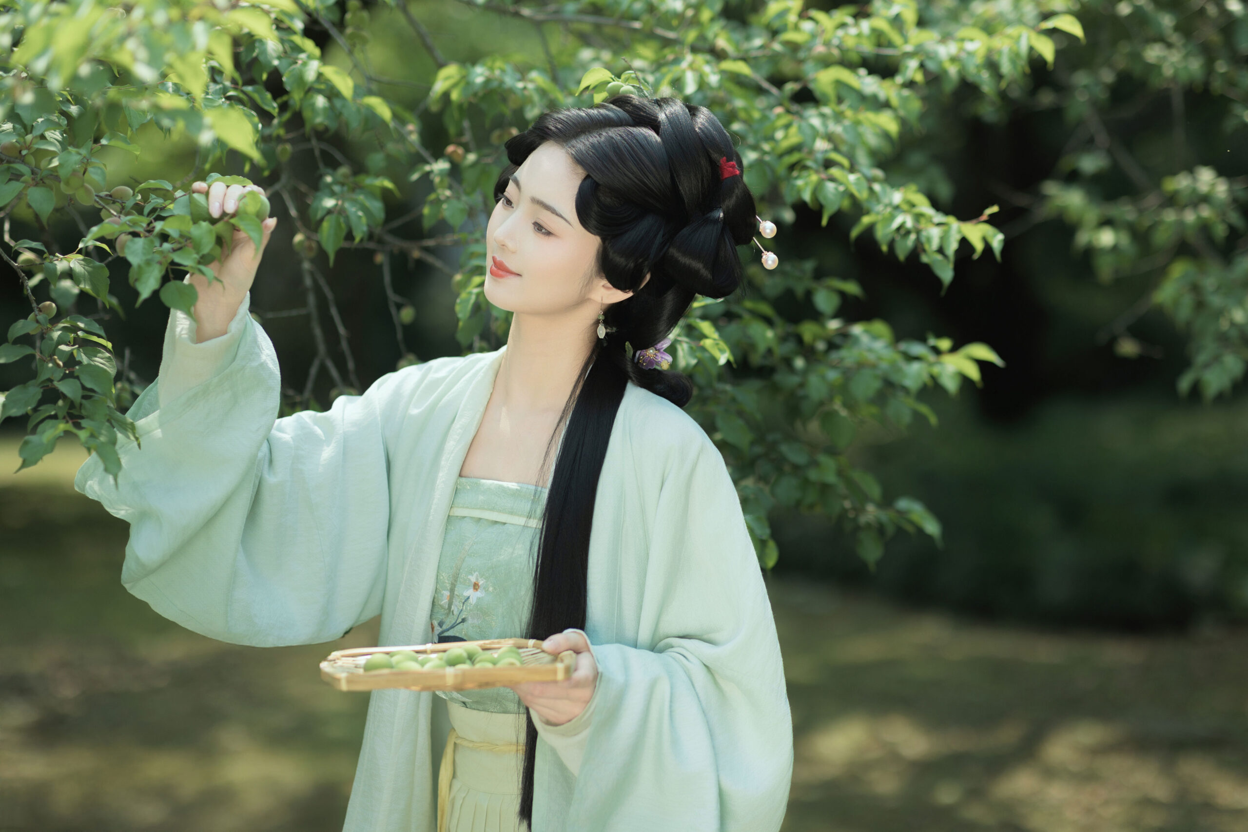 图片[5]-青梅酒-达人圈茶社