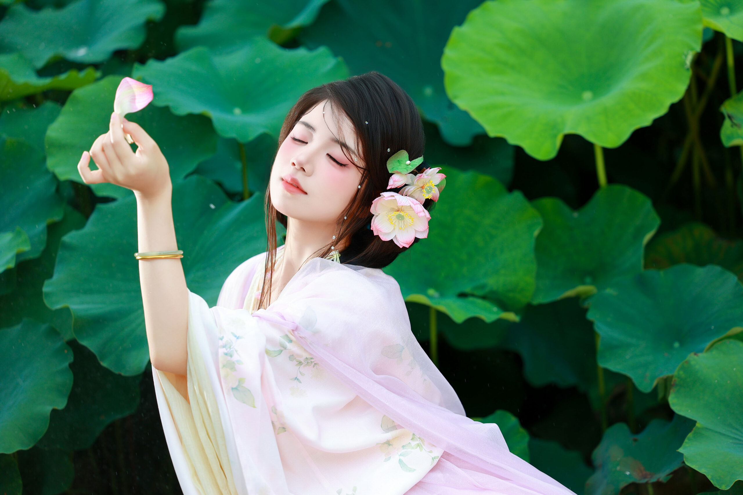 图片[4]-蕊花中-达人圈茶社