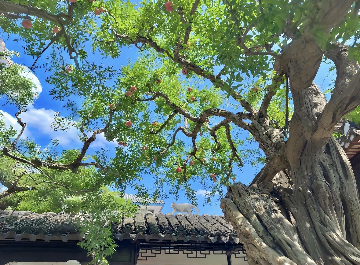 2k老树蓝天房顶壁纸｜庭院背景图片 – 绿叶红果-达人圈壁纸