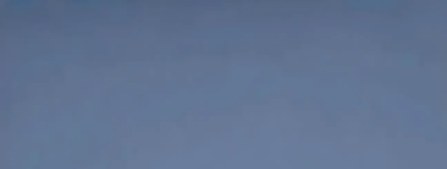 元气女生·红蝴蝶结+白猫 唯美清新户外写真 高赞女生照套图