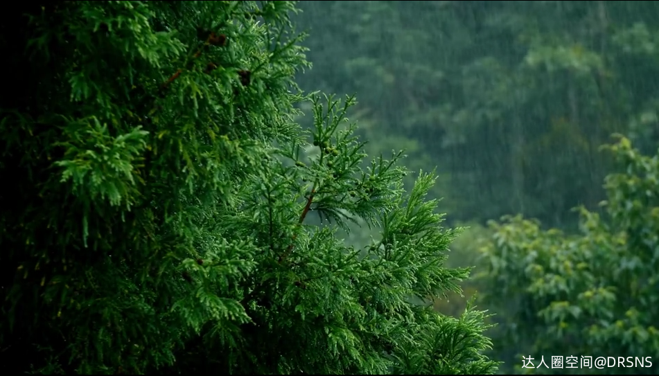 4k花之谷动态壁纸｜山湖美景背景视频 - 自然风景