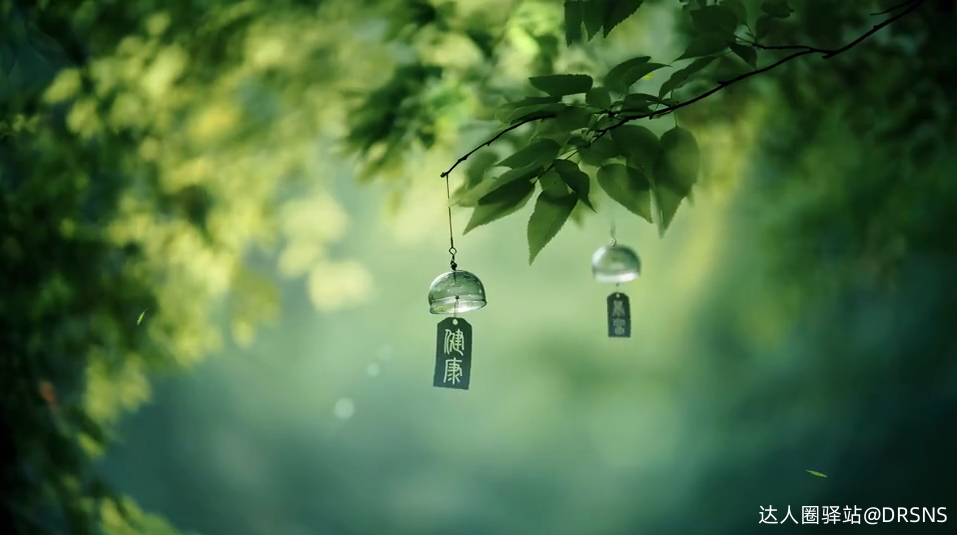 4k绿叶风铃动态壁纸｜自然背景视频 - 祈福护眼